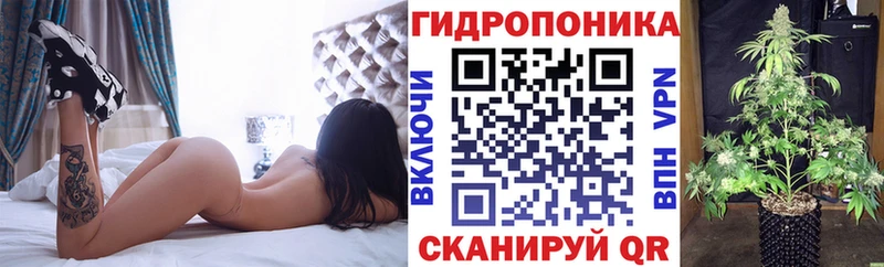 Купить закладку Починок Марихуана  Мефедрон  АМФ  ГАШ 