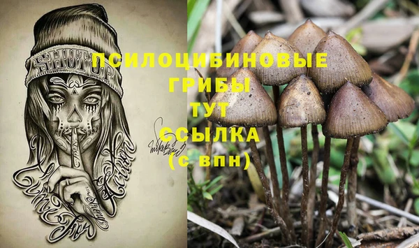 бутират Абаза