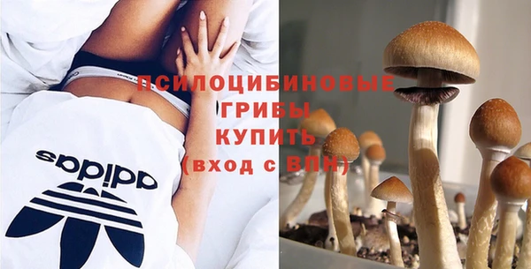 трава Алексин