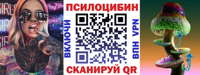 Псилоцибиновые грибы Psilocybe как найти закладки Починок